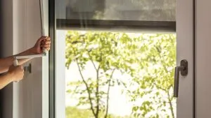 Quelle protection solaire choisir pour ses fenêtres ?