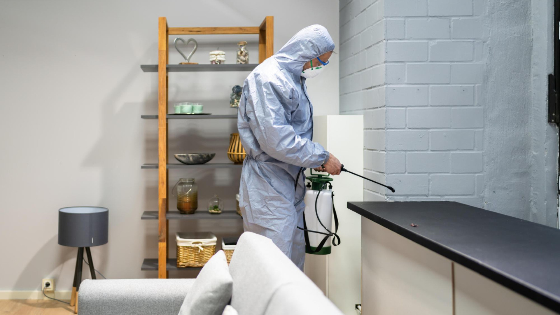 Dératisation professionnelle contre les rats : intervention rapide et efficacité face à l’infestation