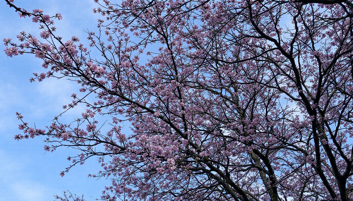 jacques legros vignoble