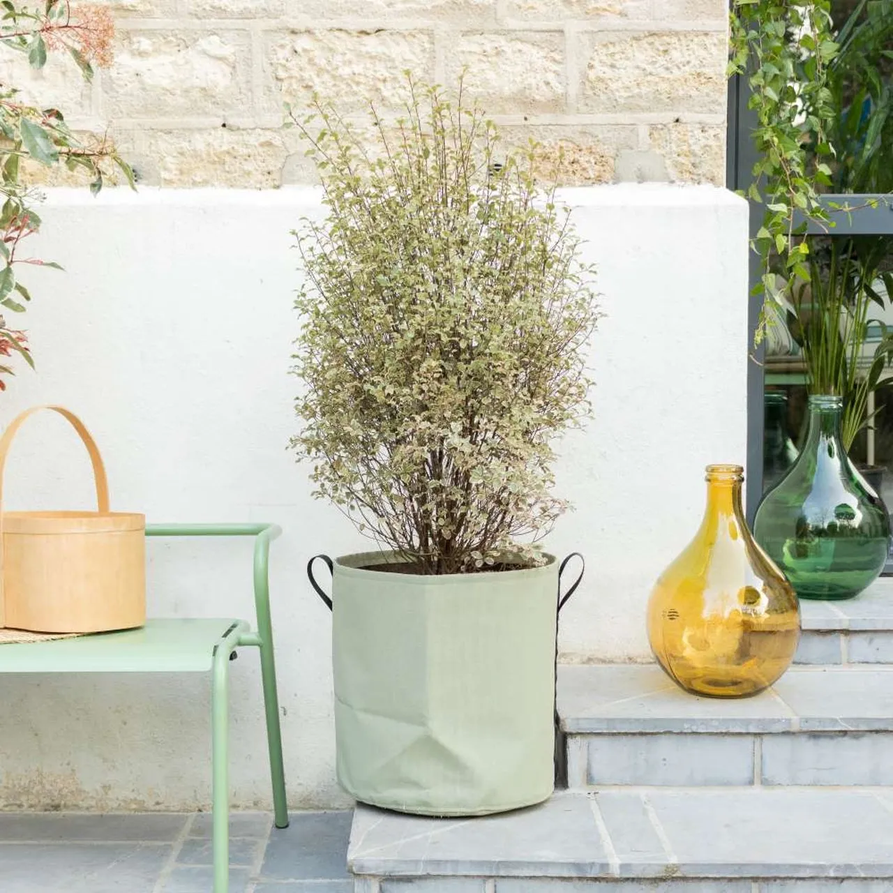 plante jardin