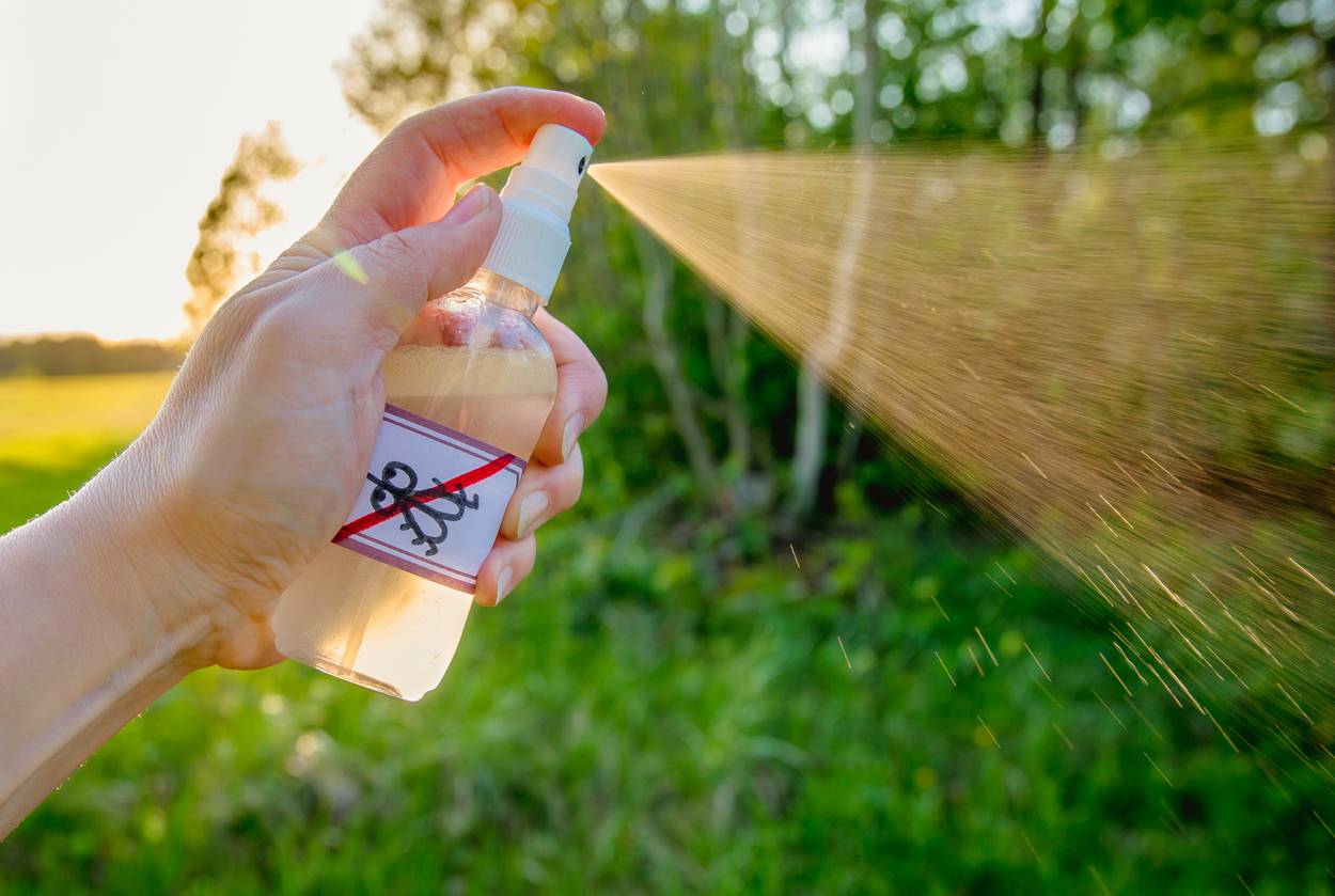 produit anti-mouches insectes