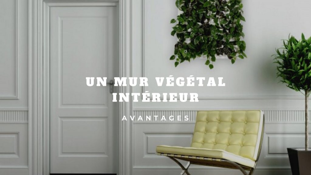 mur végétal