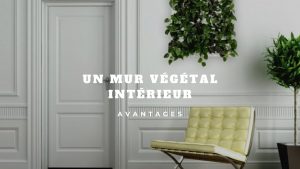 mur végétal